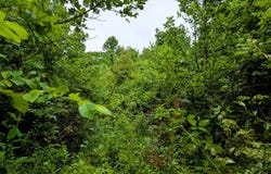 0 SR 13, Glouster, OH 45732