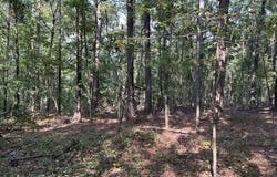 CR 424, OXFORD, MS 38655