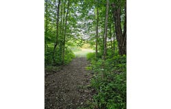 11897 SILVERTHORN (TR 86 RT T438) Road, Edinboro, PA 16412