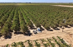 29112 Avenue 7, Madera, CA 93637