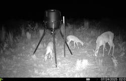 County Road 248, Dickens, TX 79229