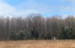 S Straits Highway, Vanderbilt, MI 49795