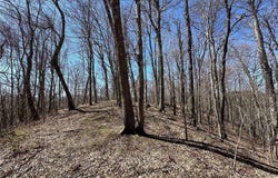 Lot 10 & Reserved Lot Yasmine Lane, Vilas, NC 28692