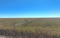ROAD C, Saint Francis, KS 67756