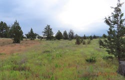U-5 Lot 36 Desavado, Montague, CA 96064