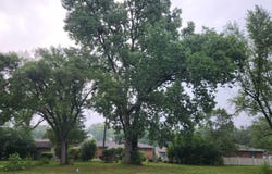 1808 N Winthrop Road, Muncie, IN 47304