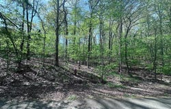 47 Rubi Circle, Hot Springs Village, AR 71909