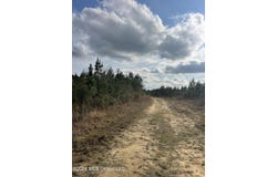 W Wortham Road, Saucier, MS 39574
