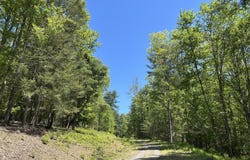 TALLMAN HOLLOW ROAD, Montoursville, PA 17754