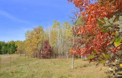Grant Street, Park Rapids, MN 56470