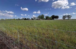 3857 N Simmons Rd, Jay, FL 32565