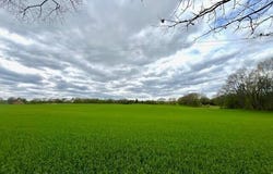 Gramer Road, Webberville, MI 48892