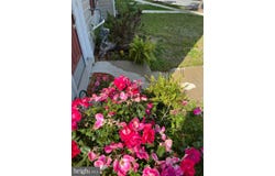 313 ASHBY COMMONS Drive, EASTON, MD 21601