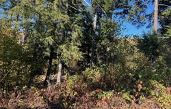 8852 Hemlock Hill Drive, Traverse City, MI 49685