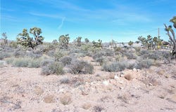 26241 N Humming Bird Lane, Meadview, AZ 86444