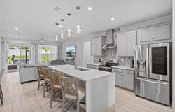 3336 JACKSON BLUFF WAY, CLERMONT, FL 34711
