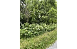 247 Happy Holler Road, Dongola, IL 62926