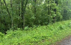 00 Scenic Dr, Russellville, AL 35653