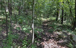 000 Hwy 110 Highway, Clinton, AR 72031