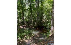 5 Acres Owls Hollow Road, Gadsden, AL 35901