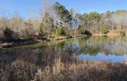 Ashland Road, Ripley, MS 38663