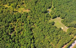 2513 county road, Linden, TX 75566