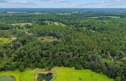 Vacant NW Coachwhip Avenue, Madison, FL 32340