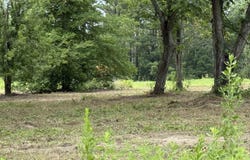 TBD CR 314, Henderson, TX 75652