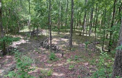 10257 S. Hwy 5, Mountain View, AR 72560