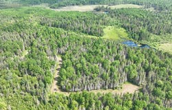 Lot C HOMERS RD, Mercer, WI 54547
