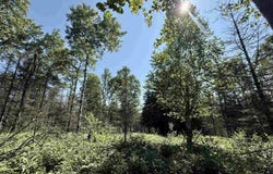 xxx Hwy 61 S, Two Harbors, MN 55816