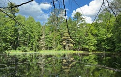 On KEIN RD, Mercer, WI 54547