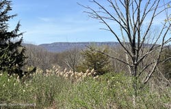 241 Route 208, New Paltz, NY 12561