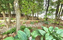 7 Birch Island, Saint Albans, ME 04971