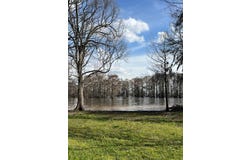 1228 C C Sandidge Road, Elm Grove, LA 71051