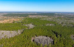 0 Gum Swamp Rd, Greenville, FL 32331