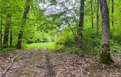 24981 Township Rd 26, Coshocton, OH 43812