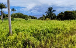 31-154 HAWAII BELT RD, Ninole, HI 96773