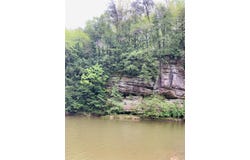 0 Hwy 81, Phil Campbell, AL 35581