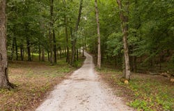 6 County Road 461, Oxford, MS 38655