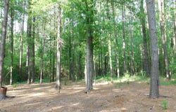 165 Rosewood Road, Springhill, LA 71075