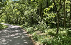 North Drive, Brooklyn, MI 49230