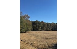 MS-178, Mooreville, MS 38857