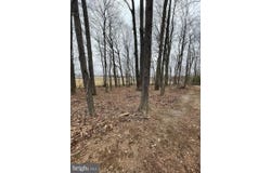 4224 PINEY GROVE, GLYNDON, MD 21071