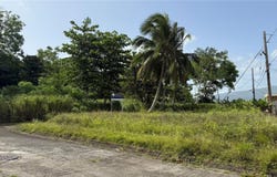 1 CALLE 1, LAS PIEDRAS, 00771