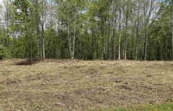 0 Coon Williams Road, Troy, TN 38260
