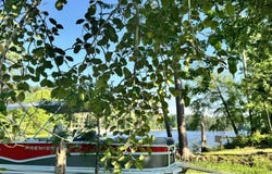 348 Amalfi Drive, Chapin, SC 29036-7360