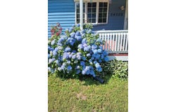 24008 BENNETT ST, PARKSLEY, VA 23421