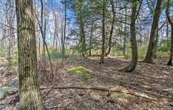 Stony Mountain Road lot: 29&30, Penn Forest Twp, PA 18235
