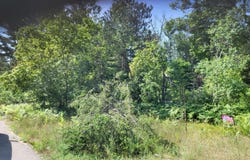 Norseman Drive lot: 30, Grayling, MI 49738